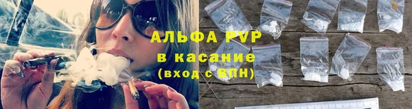 ПСИЛОЦИБИНОВЫЕ ГРИБЫ Покров