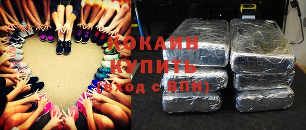 ГАЛЛЮЦИНОГЕННЫЕ ГРИБЫ Грязовец