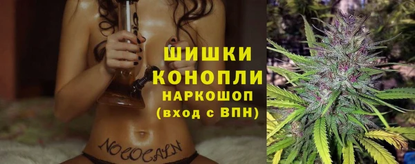 стаф Абдулино