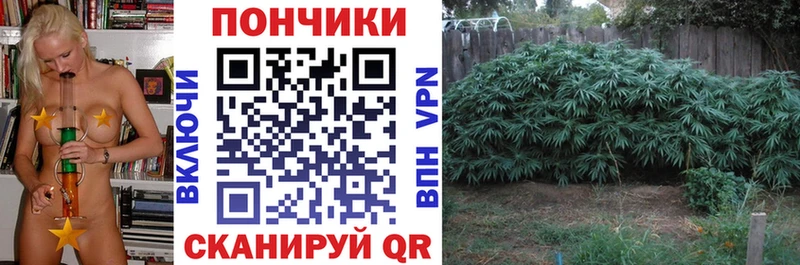 Бошки Шишки марихуана  Красновишерск 